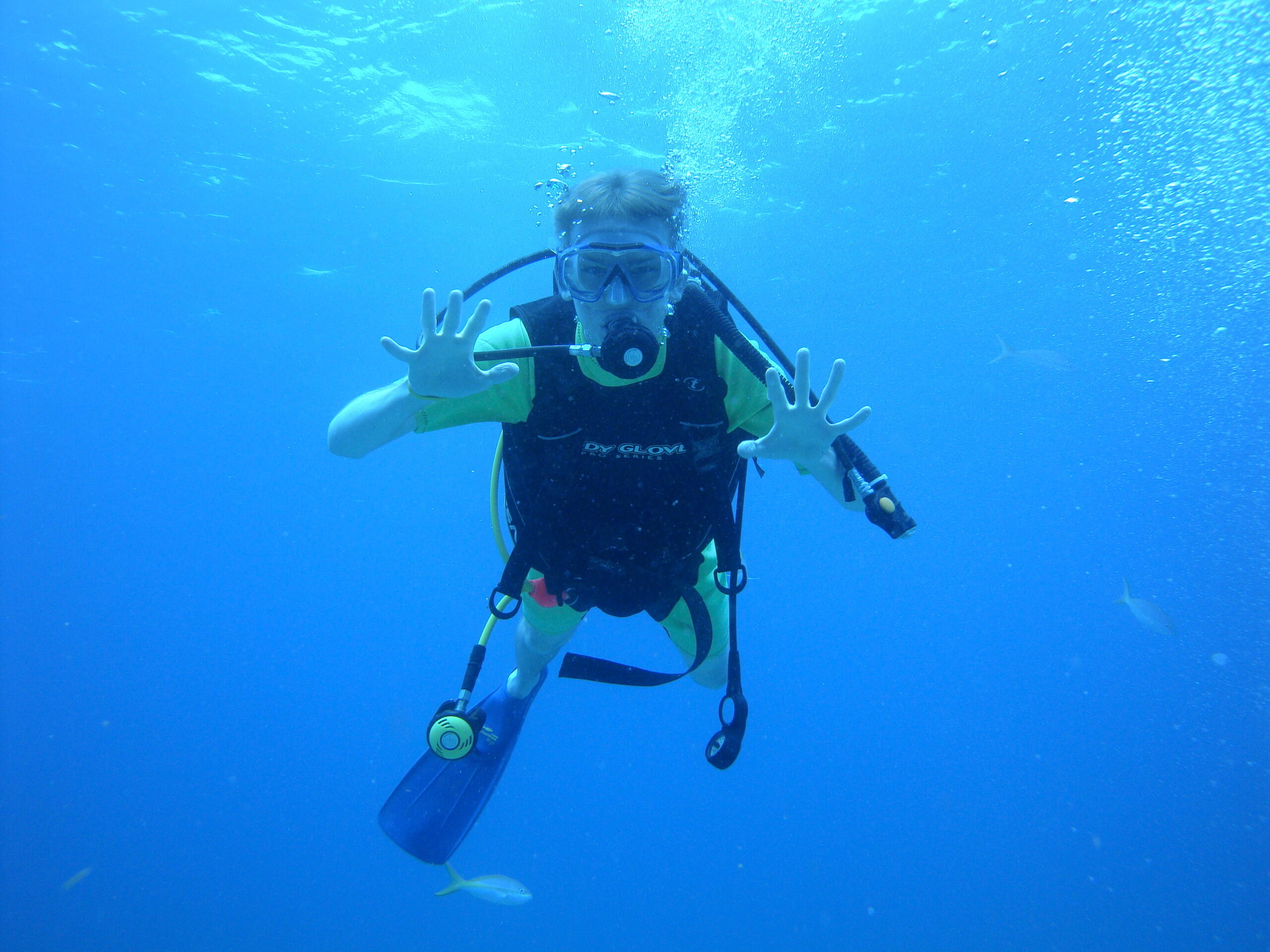 Padi_Referal_Carrusel (1)