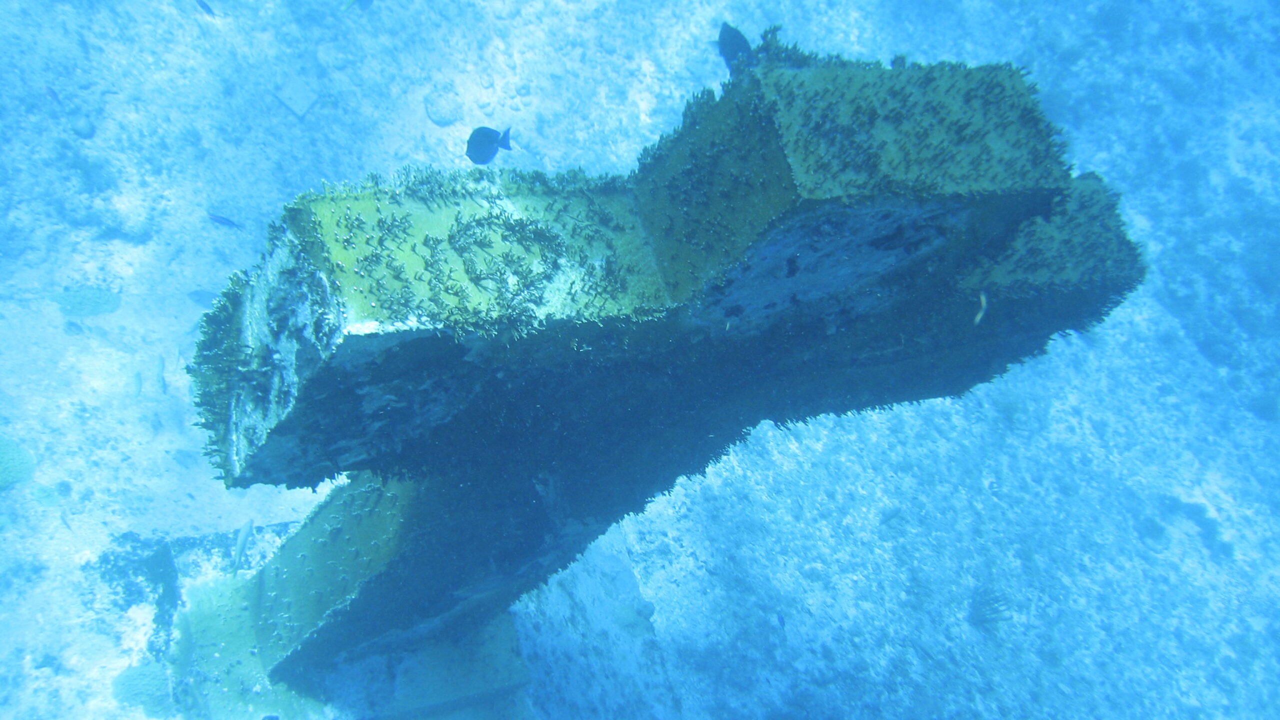 Padi_Referal_Carrusel (2)