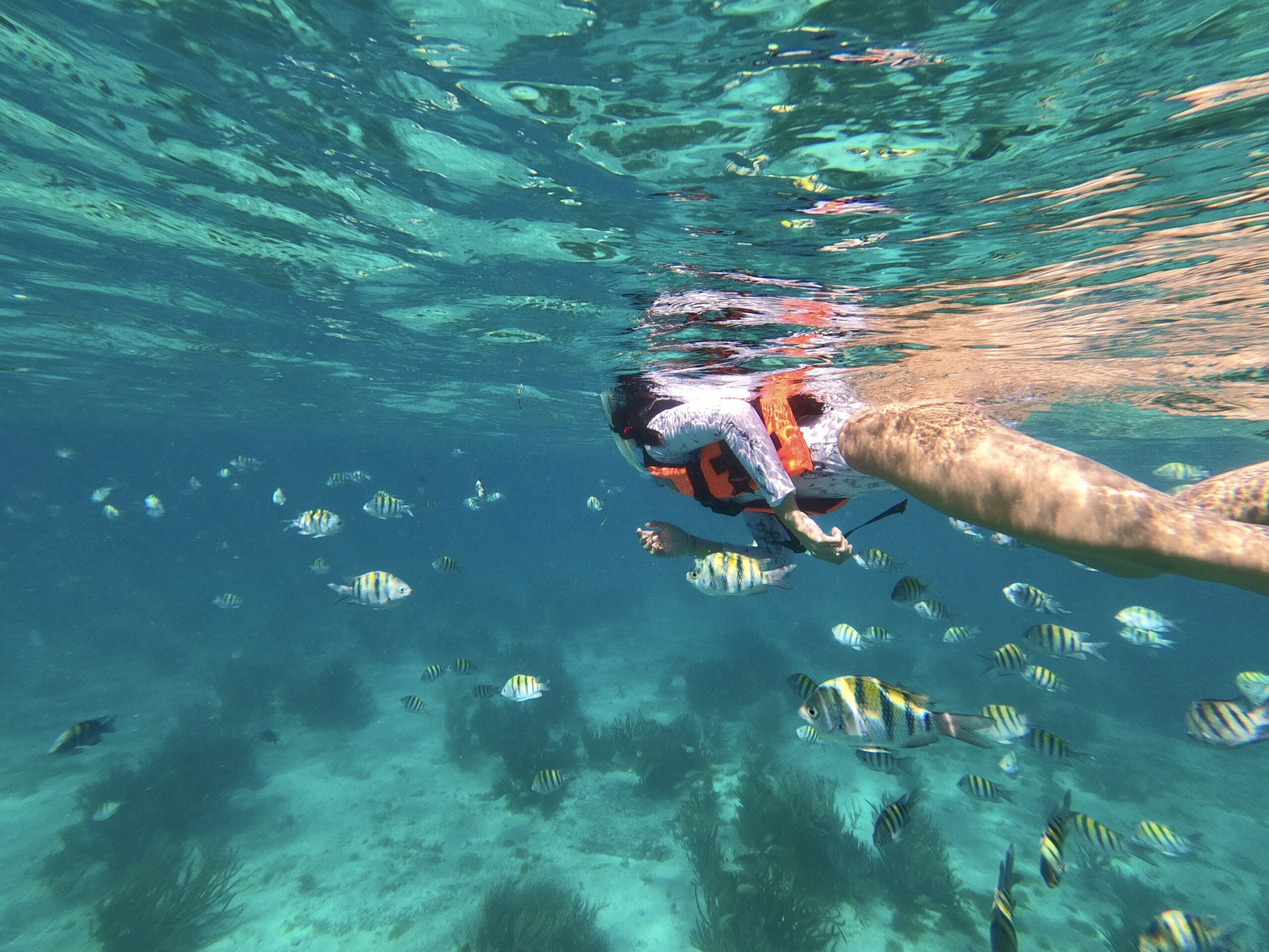 DCIM100GOPROGOPR0951.JPG