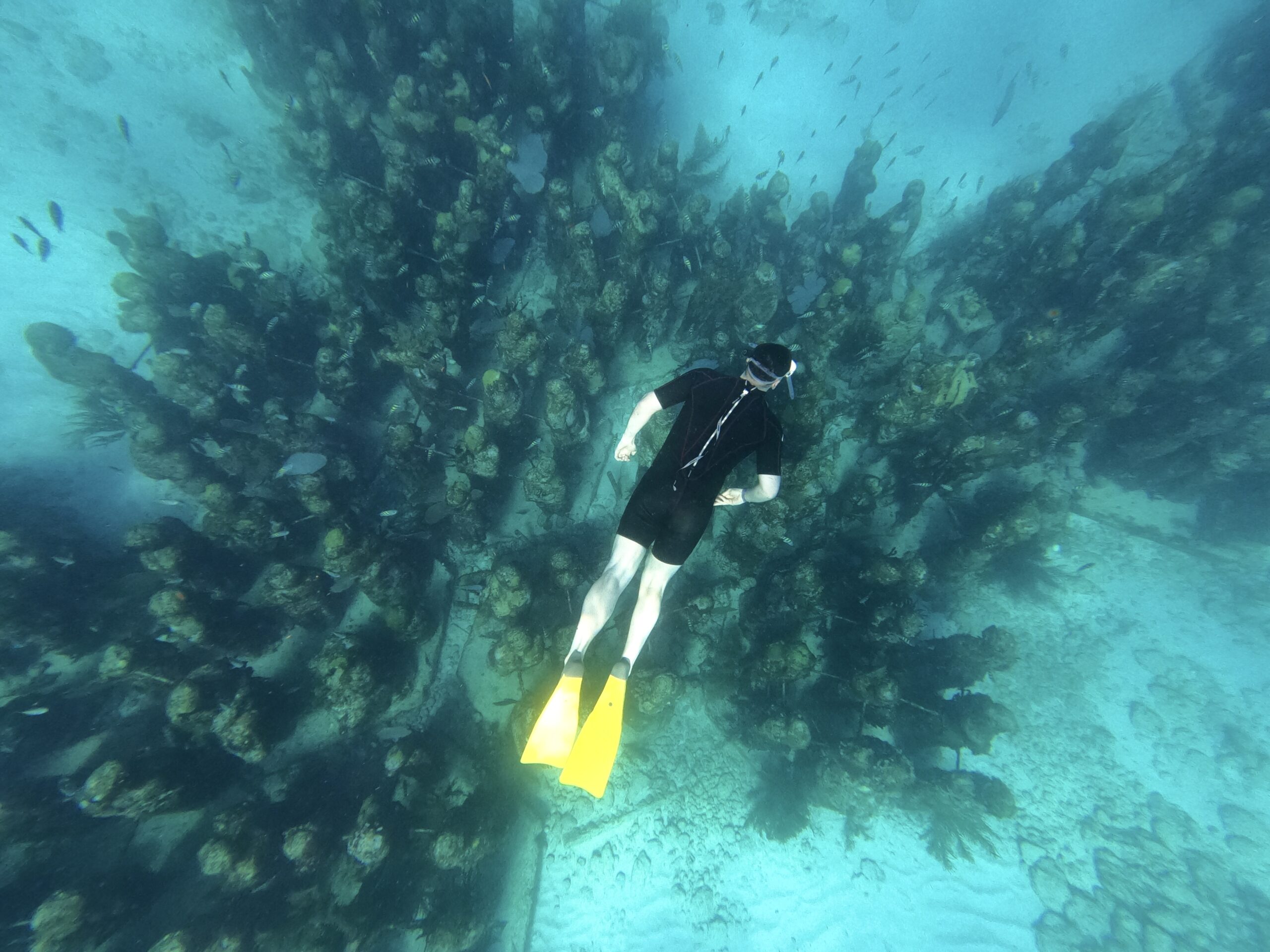 DCIM100GOPROGOPR0978.JPG