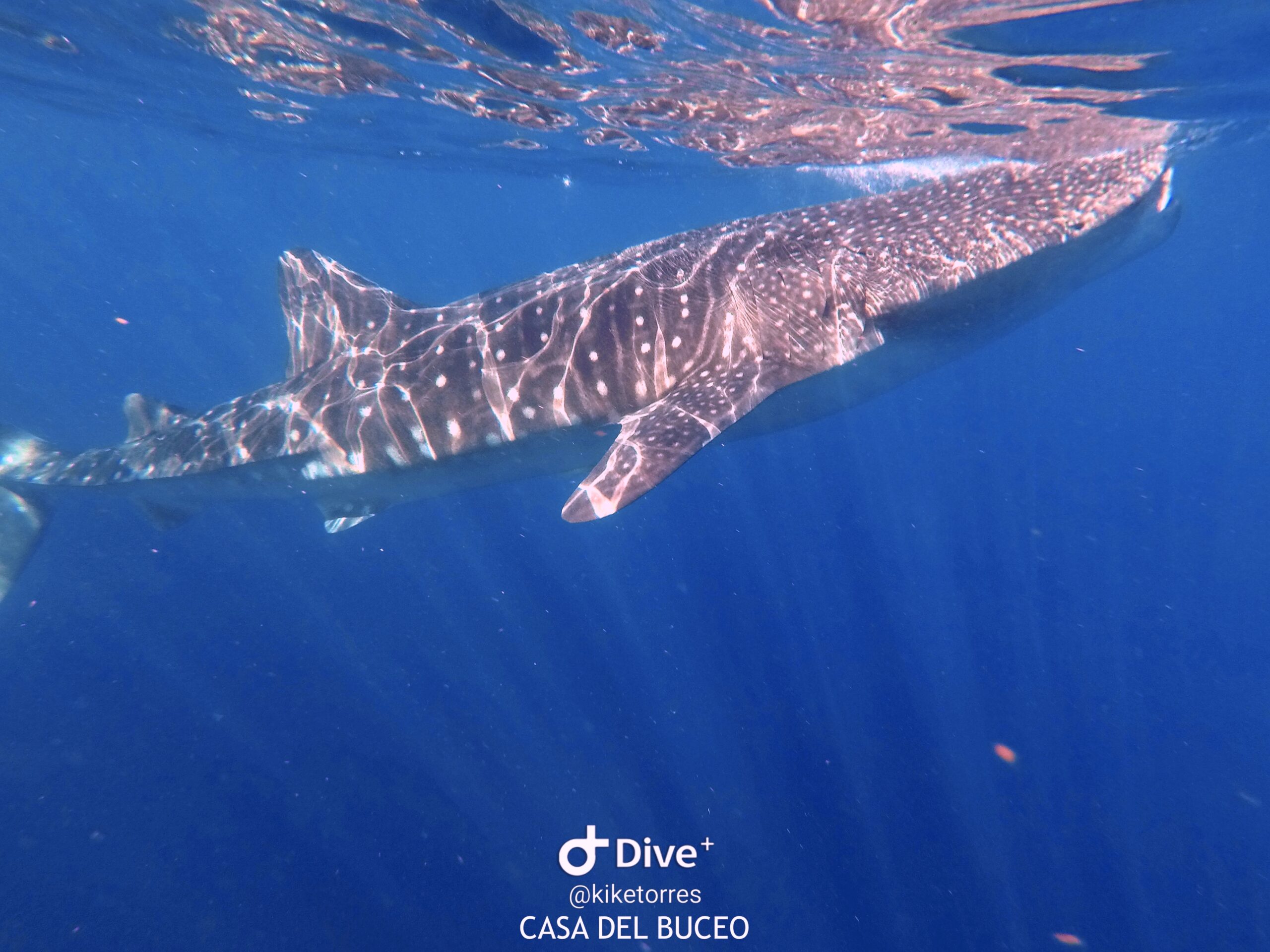 DCIM102GOPROGOPR3355.JPG